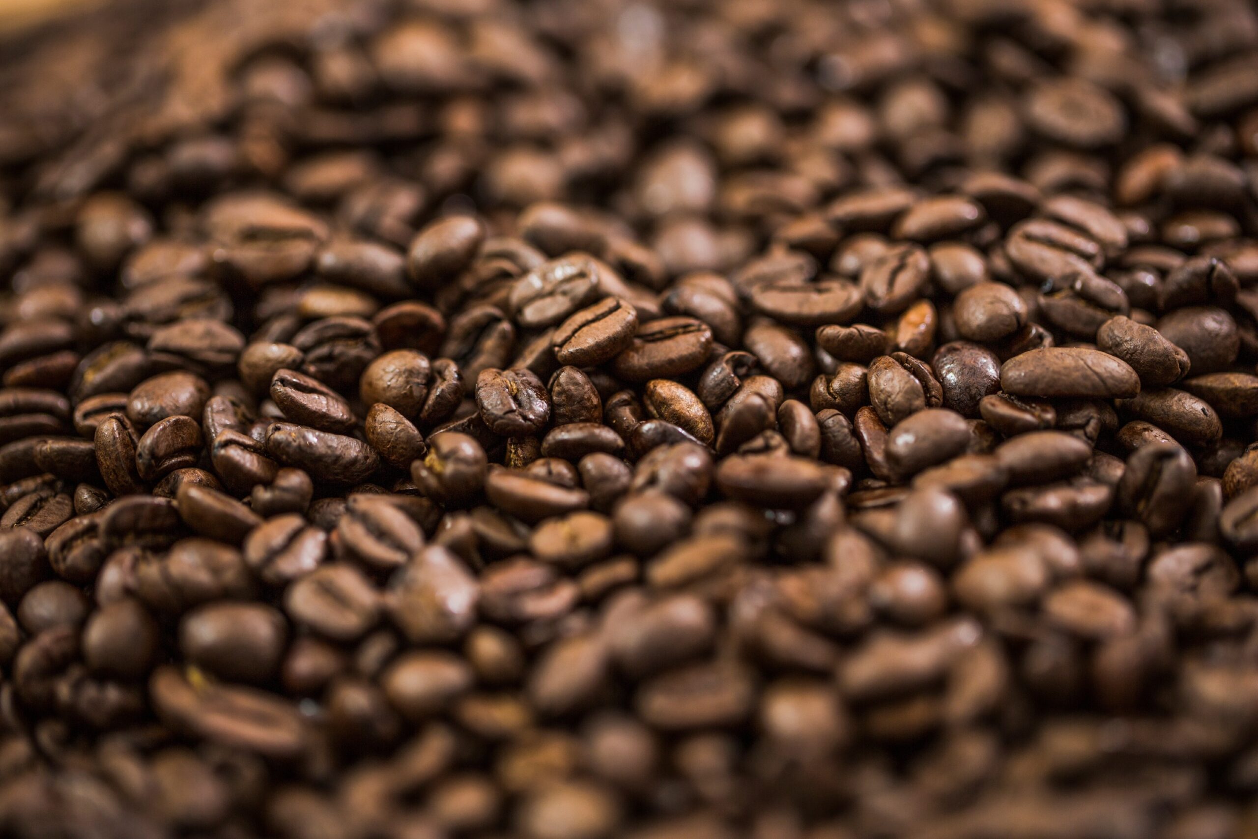 kawa robusta